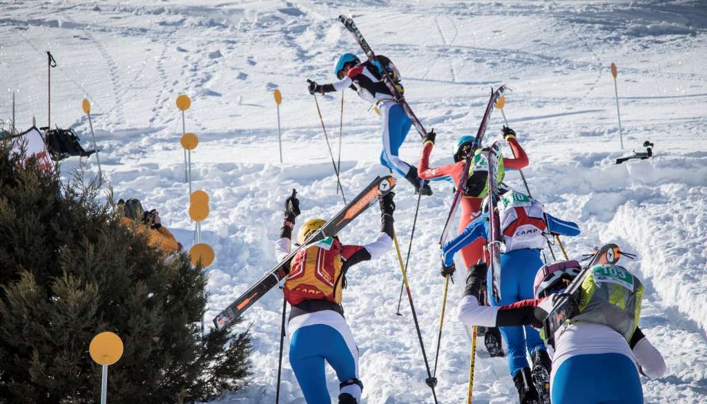 Top Skiers In The World